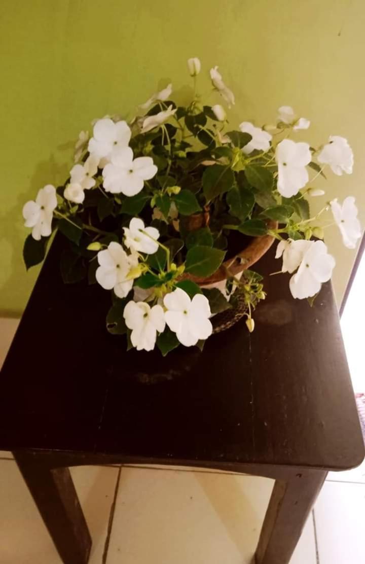 Bhoboghure Homestay Santiniketan Bolpur Eksteriør billede