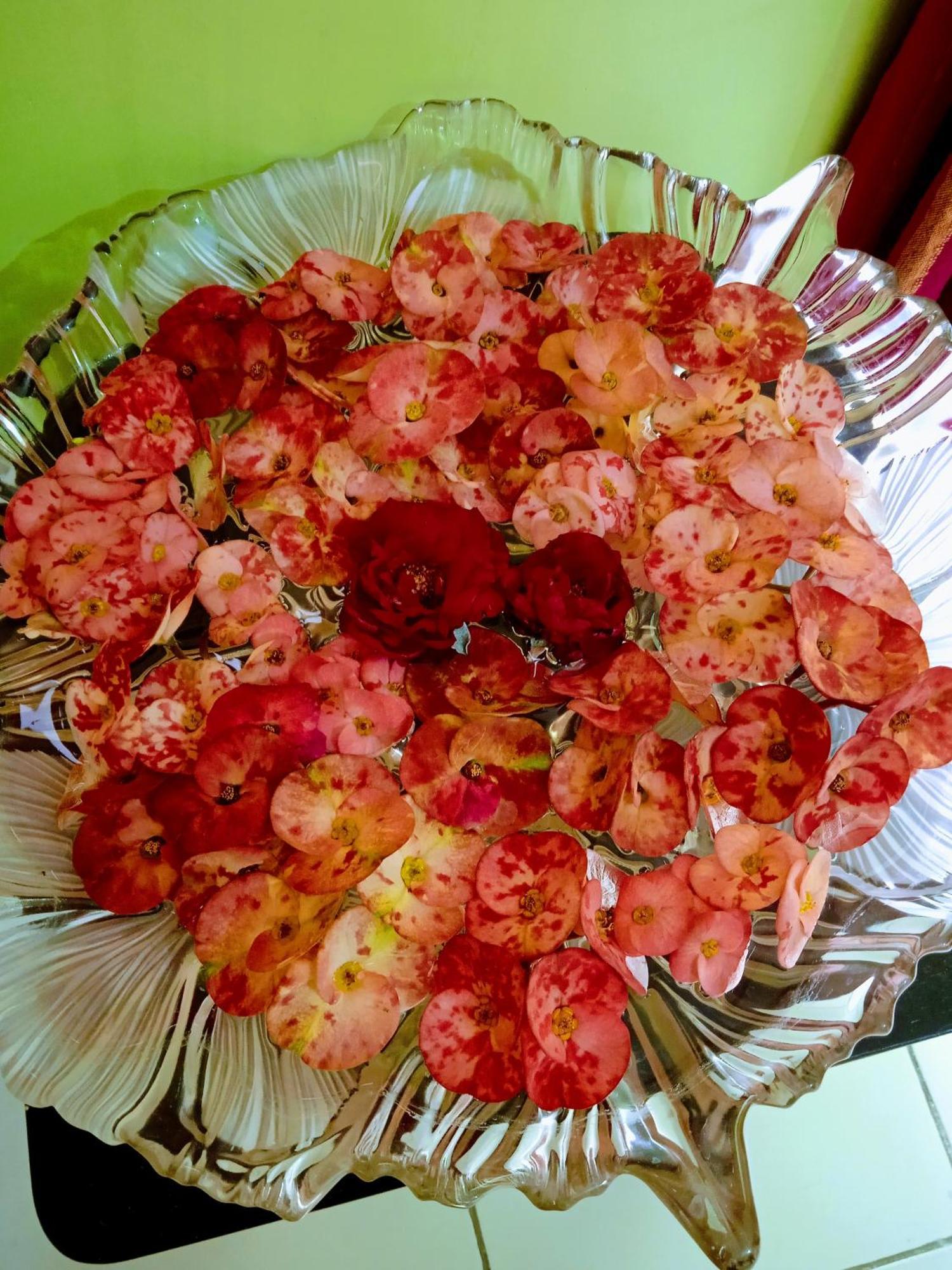 Bhoboghure Homestay Santiniketan Bolpur Eksteriør billede