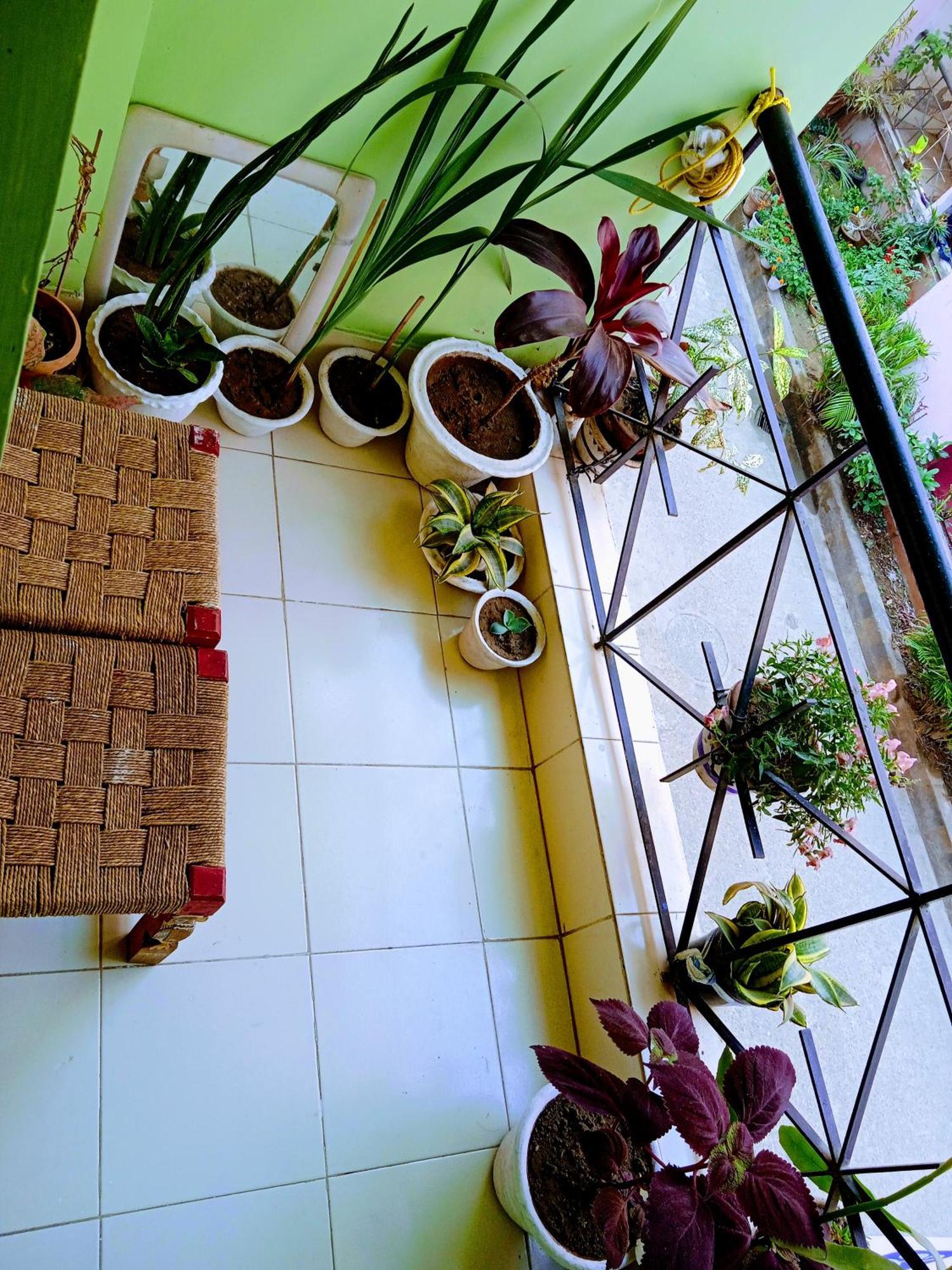 Bhoboghure Homestay Santiniketan Bolpur Eksteriør billede